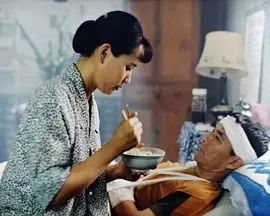 无言的旅程(全集)