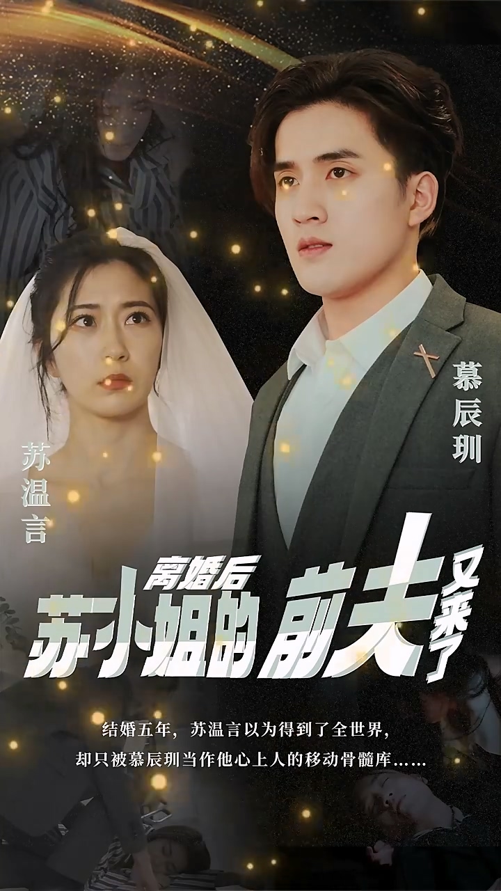 离婚后，苏小姐的前夫又来了 第01-20集