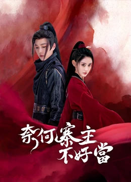 奈何寨主不好当 14