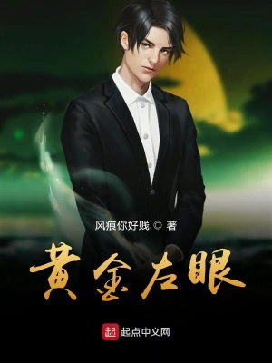 黄金左眼 16-30集