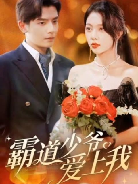 霸道少爷爱上我 41-60集