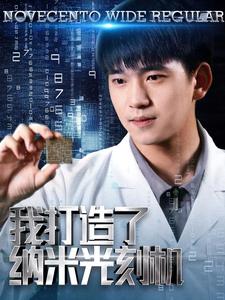 我打造了纳米光刻机 全集(大结局)