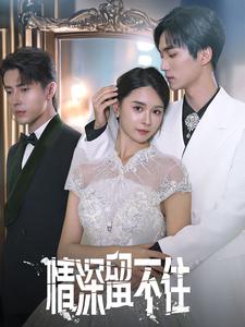 情深留不住 全集(大结局)