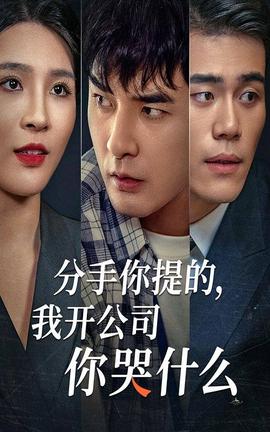 分手你提的，我开公司你哭什么 全集(大结局)