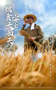 粮食安全大如天 全集(大结局)