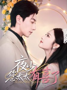 夜少，您太太有喜了 全集(大结局)